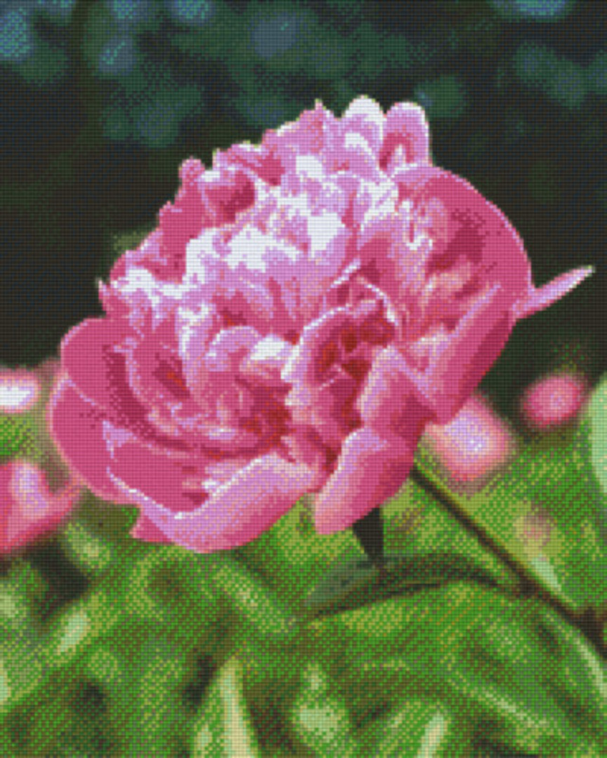 Rose Sixteen [16] Baseplate PixelHobby Mini- mosaic Art Kit image 0